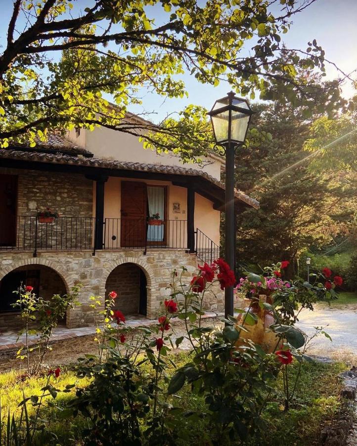 Le Querce Di Assisi Pensionat Piano Delle Pieve Exteriör bild